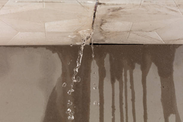 Professional Water Damage Inspection technician working in Kamuela, HI